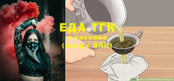 ECSTASY Ельня