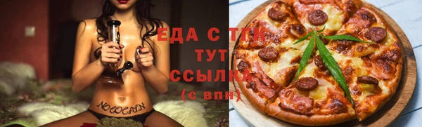 ECSTASY Ельня