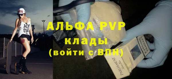 гидра Покачи