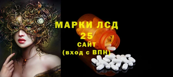 ECSTASY Ельня