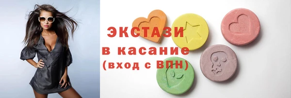 ECSTASY Ельня