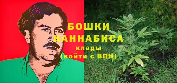 ECSTASY Ельня