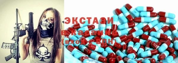 ECSTASY Ельня