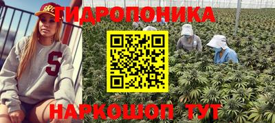 ПСИЛОЦИБИНОВЫЕ ГРИБЫ Аргун