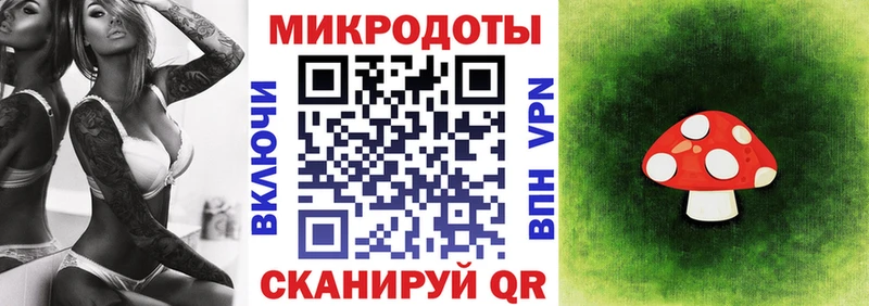 Псилоцибиновые грибы мицелий  магазин продажи наркотиков  Северобайкальск 