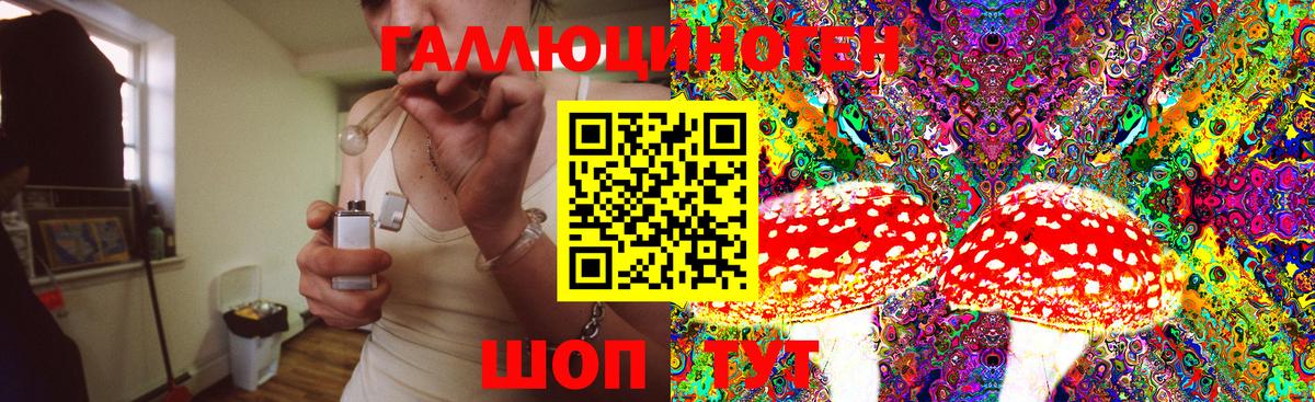 Галлюциногенные грибы прущие грибы Северобайкальск