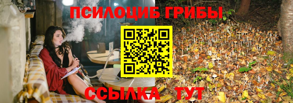 Галлюциногенные грибы мицелий Северобайкальск