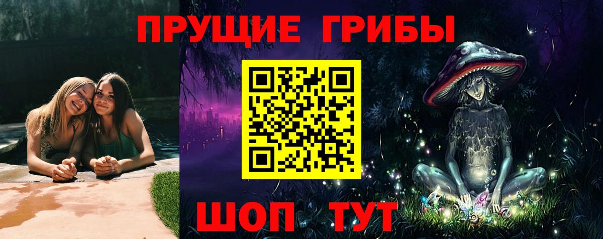 Галлюциногенные грибы Cubensis  Псилоцибиновые грибы Magic Shrooms  как найти закладки  Северобайкальск 