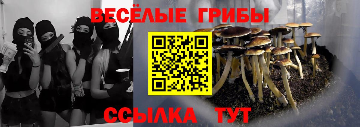Северобайкальск  наркошоп  Вход с VPN  Псилоцибиновые грибы мицелий  Галлюциногенные грибы прущие грибы 