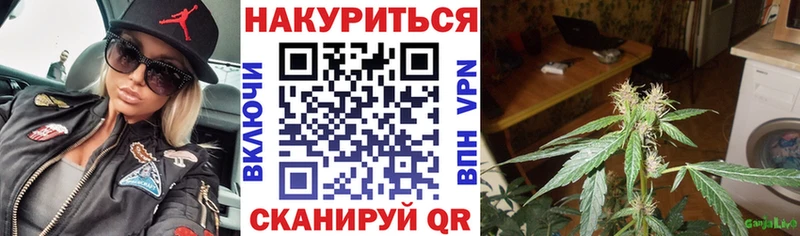 Каннабис OG Kush  Северобайкальск 